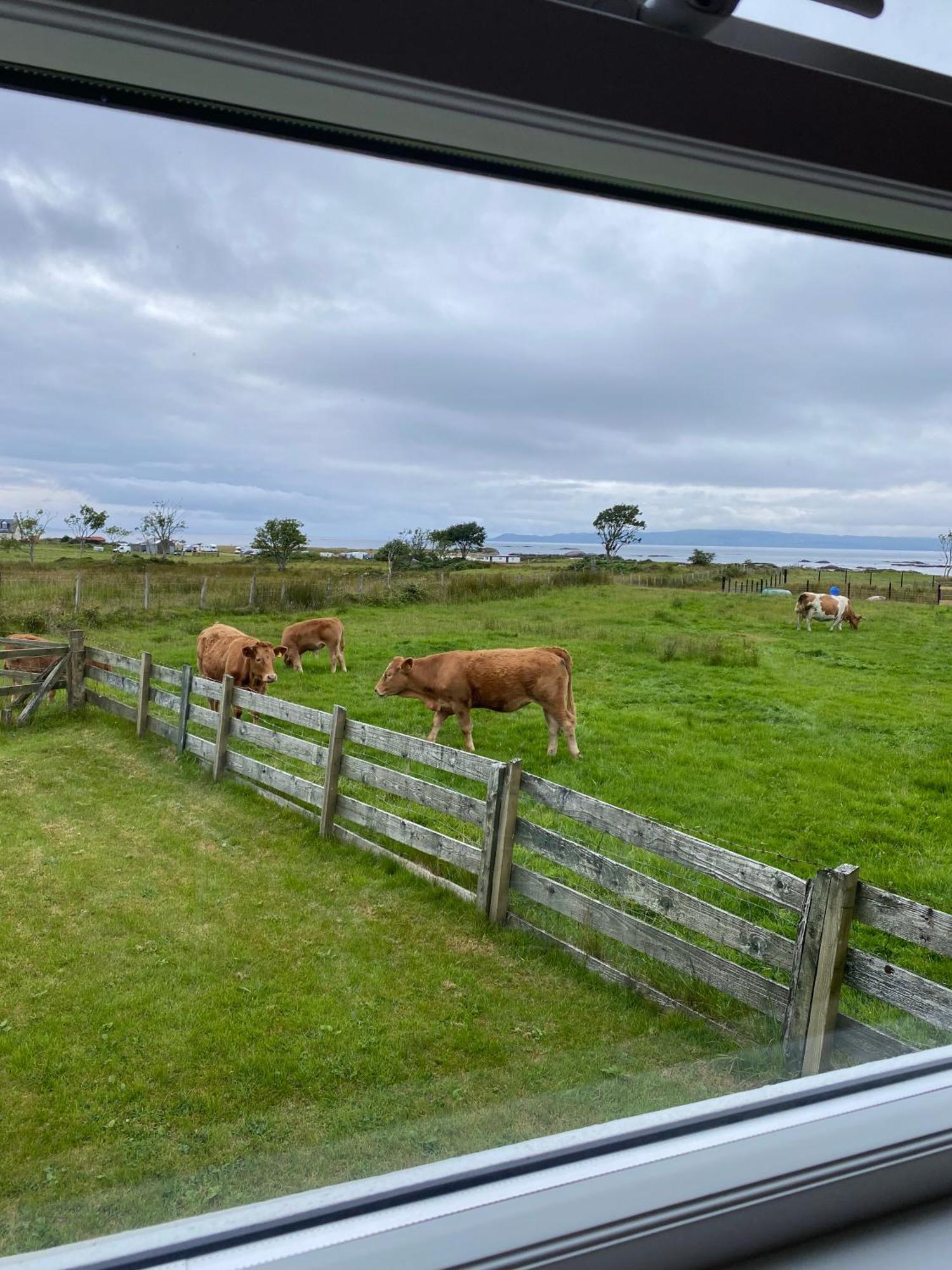 The Sheiling Holiday Home With Gorgeous Views Over The Isles Arisaig Dış mekan fotoğraf